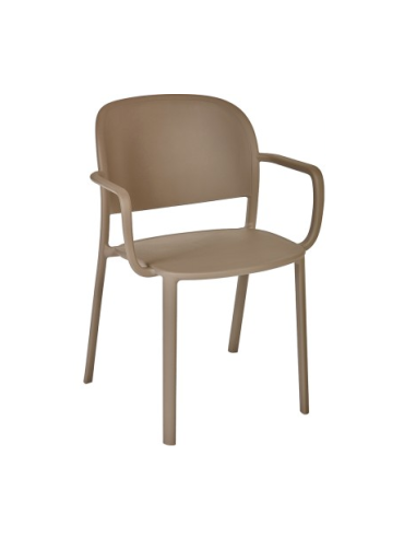 silla trena brazos ezpeleta ginetom