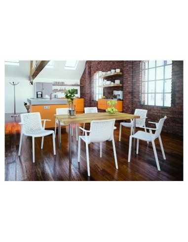 Silla hosteleria de plastico, Mobiliario para hosteleria, Ginetom
